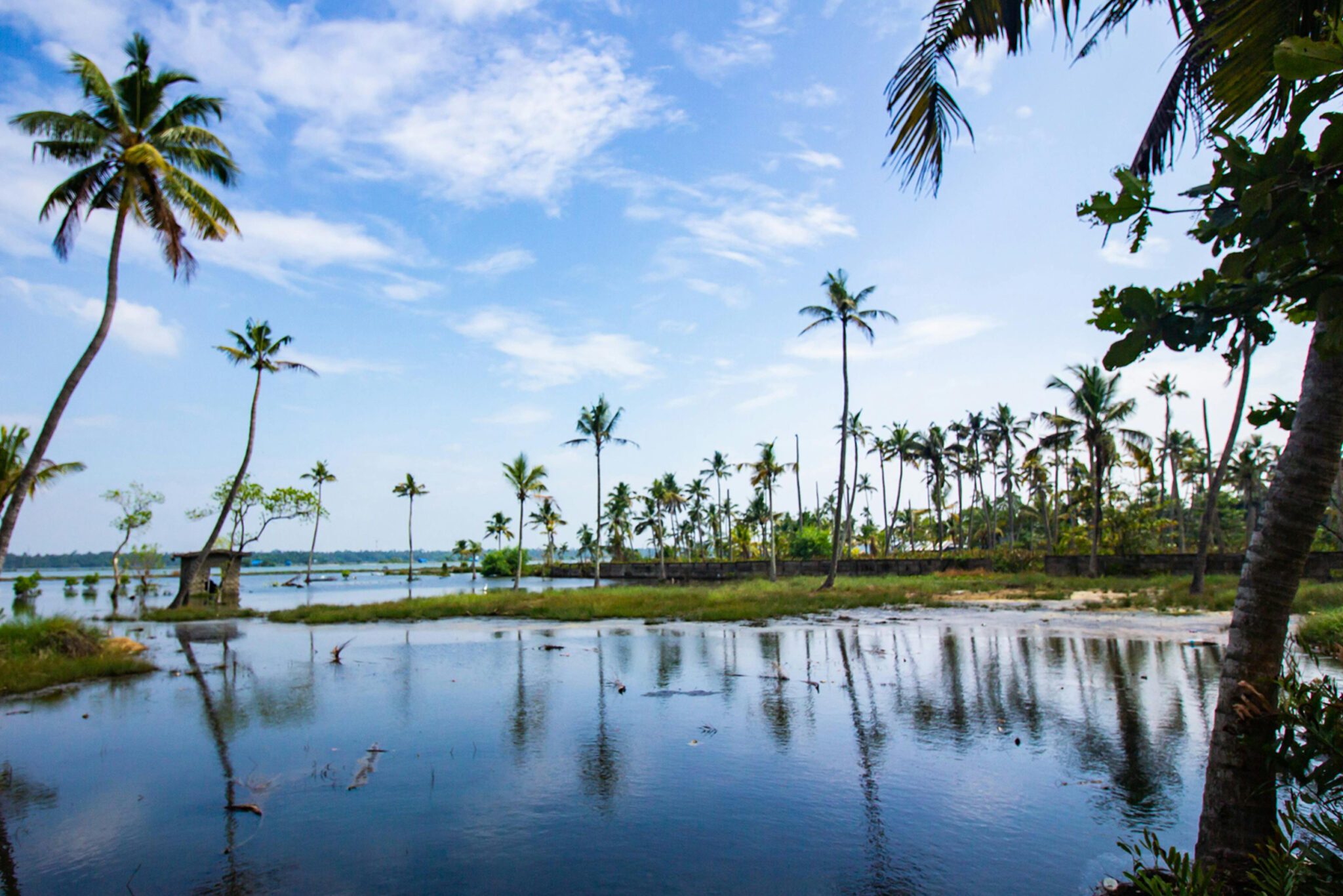 Backwaters