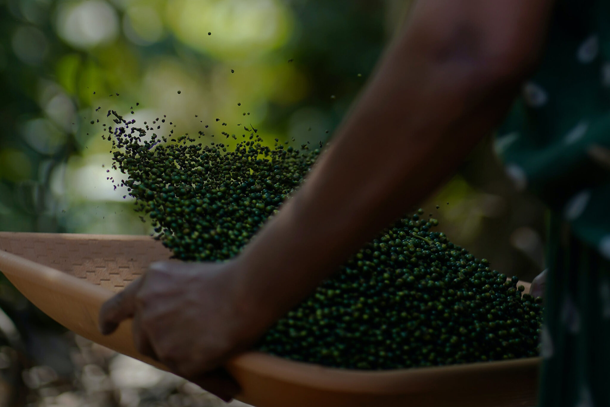 Kerala spices