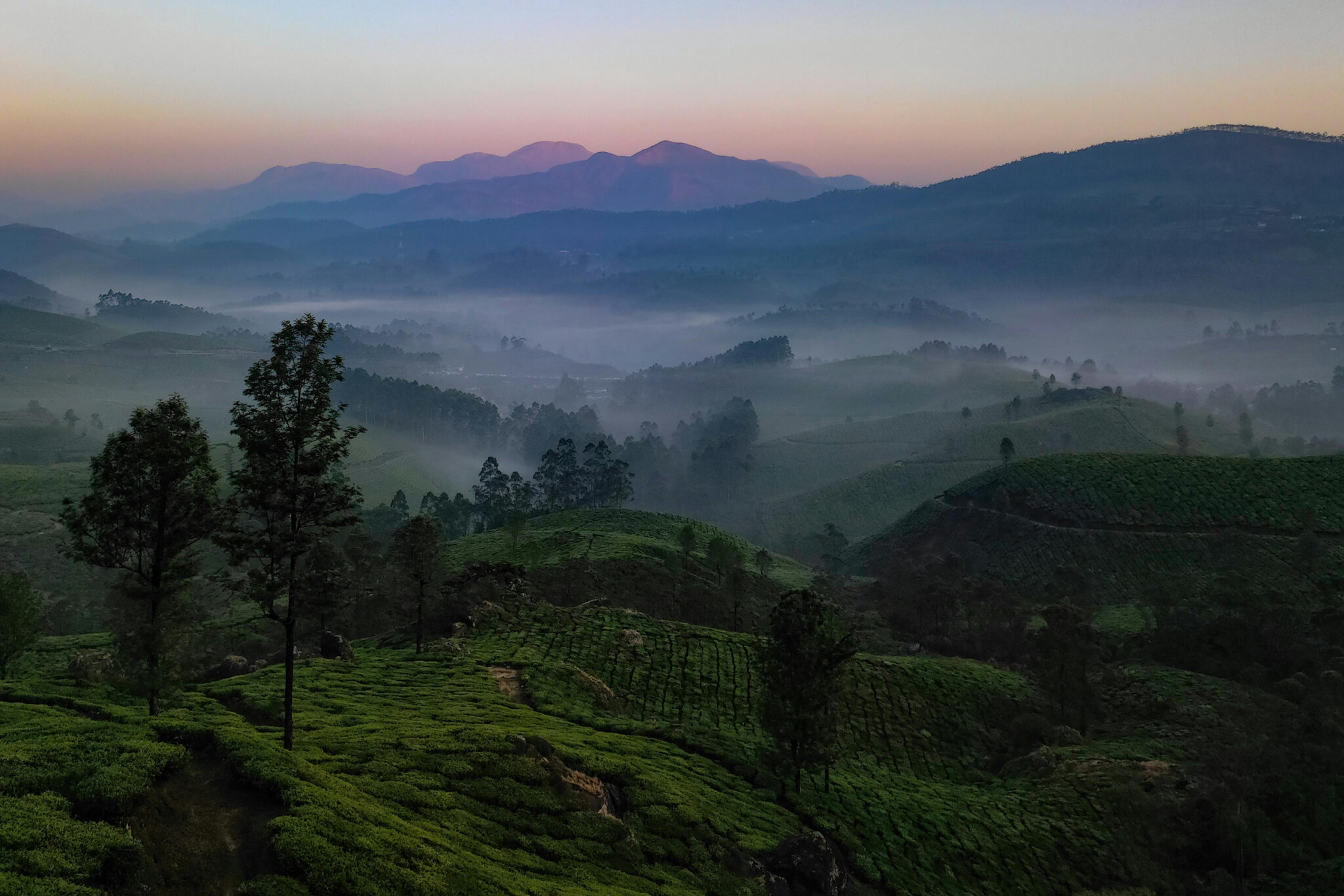 Munnar