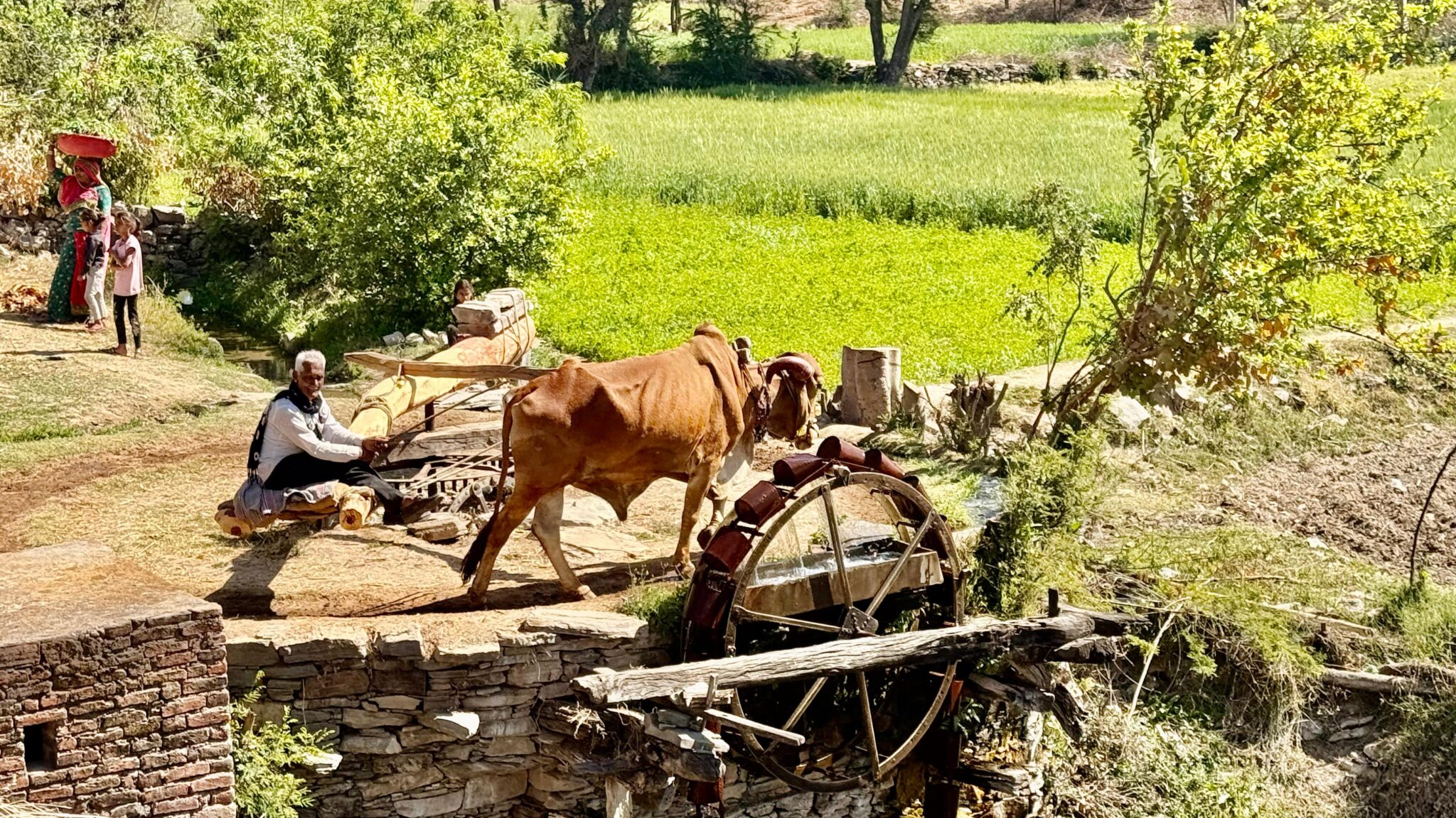 Handmade Farm Irrigation