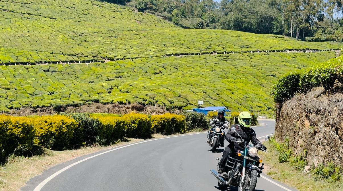 Ride In Tea Gardens