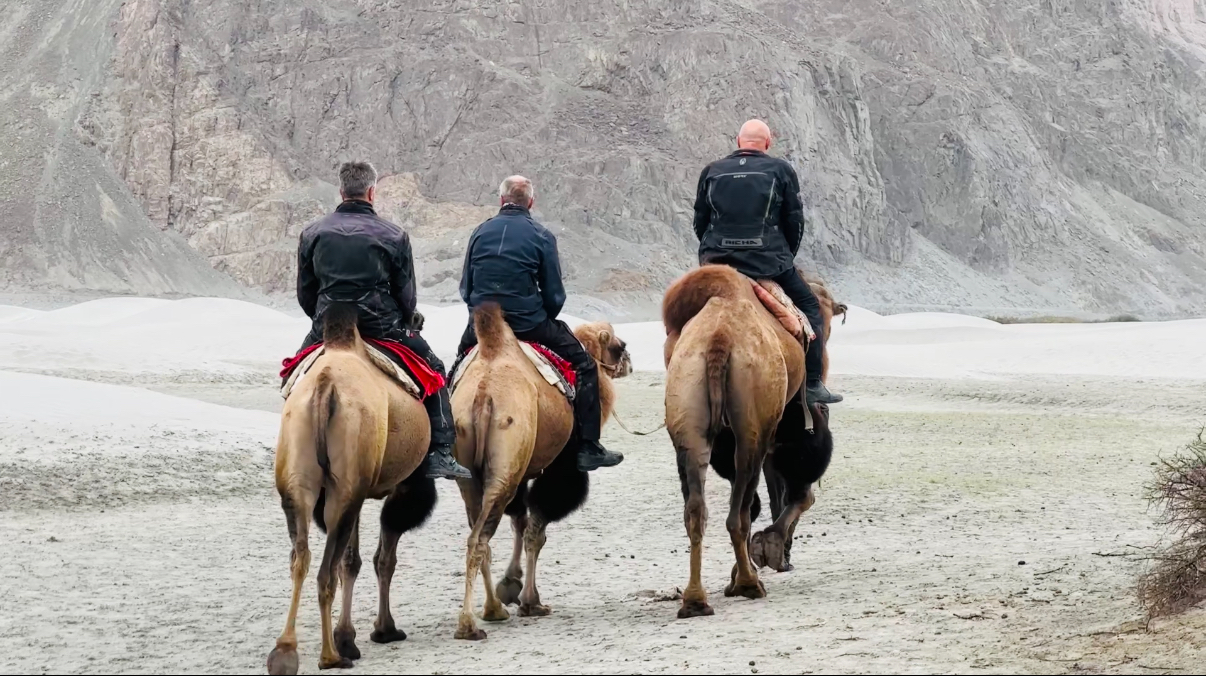 Camel Ride
