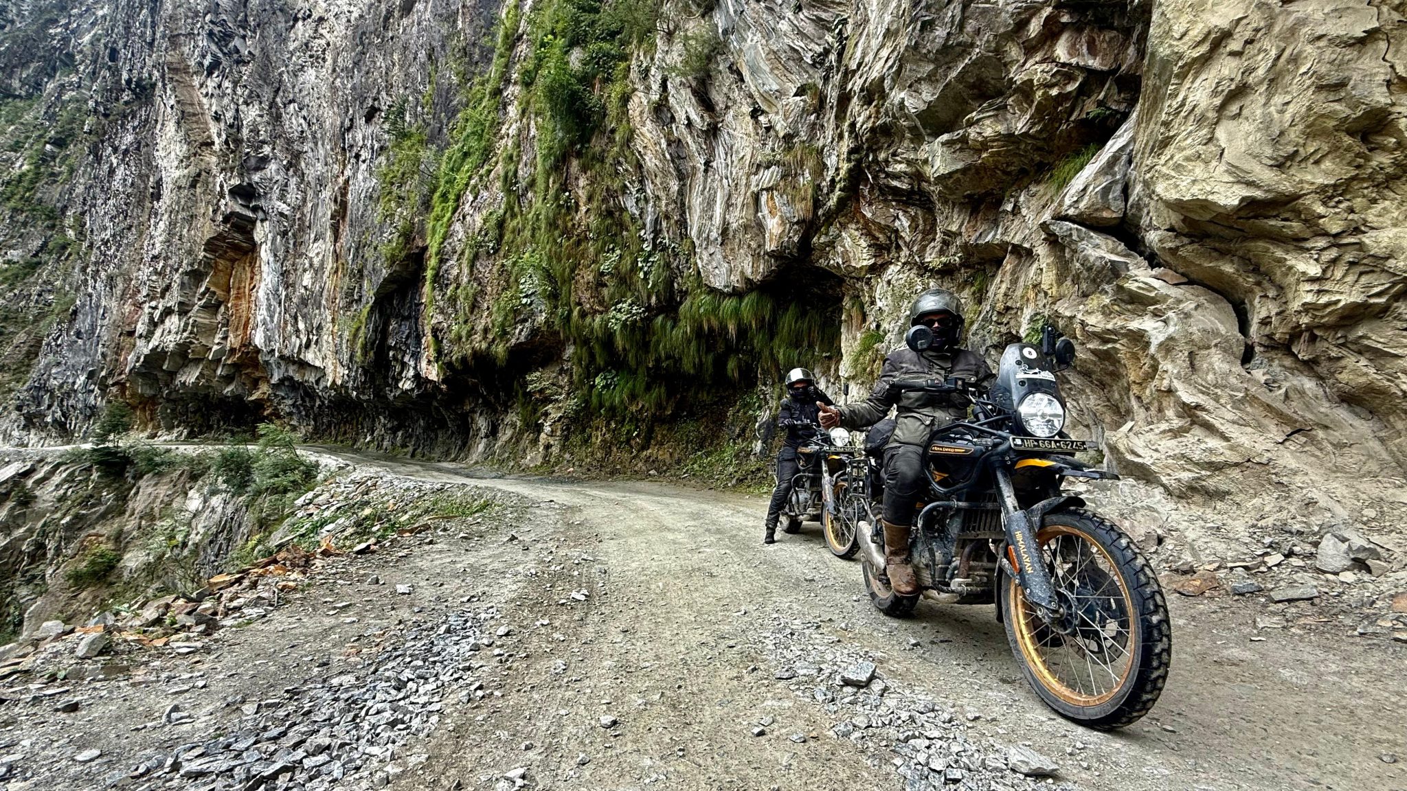 Himalayan View