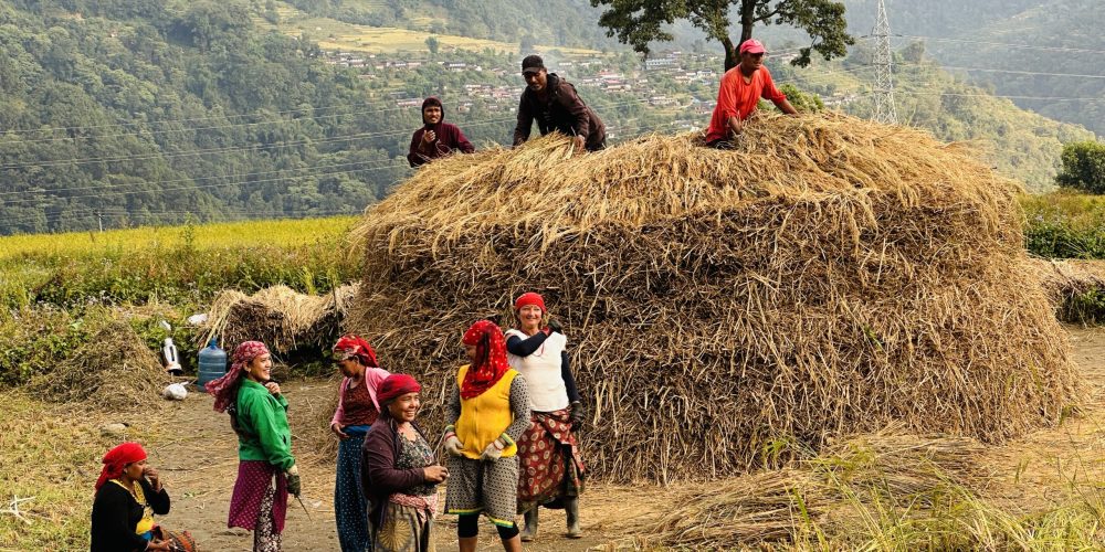 Locals farming