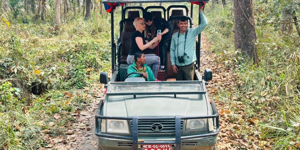 Jungle Safari